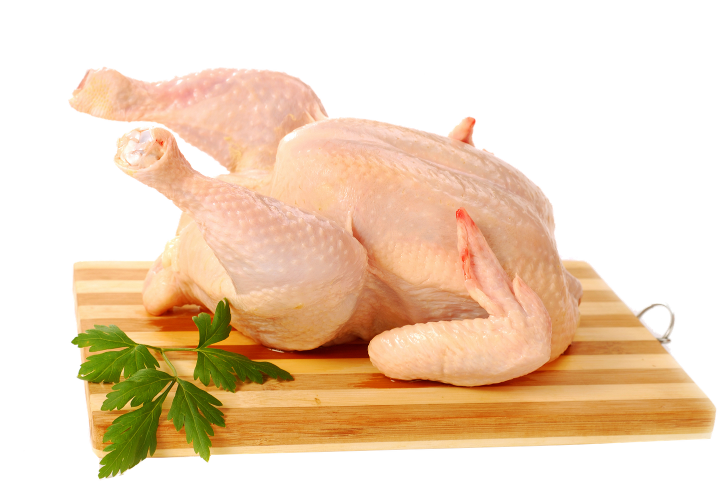 Boiler Chicken
